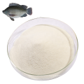 Native Hydrolyzed OEM Fish Collagen Peptides Powder Private Label Type I